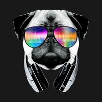 𝕾𝖎𝖗 𝕵𝖔𝖍 🐳 🎧