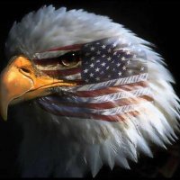 John Davis - High Gear