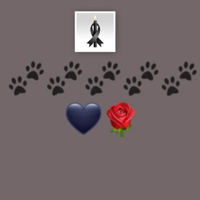 🇪🇸❤️🇮🇱 Laura Martínez