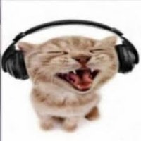 CatWithHeadphones