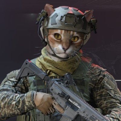 ひめたま聖戦士-パックスアルマータ華撃団