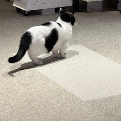 アル中のこやま