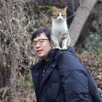 香港のヘンリー