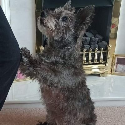 Julie 🏴󠁧󠁢󠁷󠁬󠁳󠁿Elizabeth 🏴󠁧󠁢󠁷󠁬󠁳󠁿