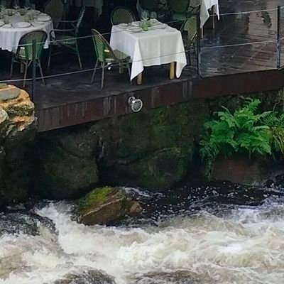 Manuel Freire /natur