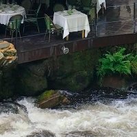 Manuel Freire /natur