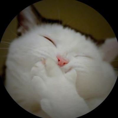 รอยยิ้ม :)