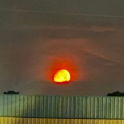 U.S. citizen 86 🇺🇸