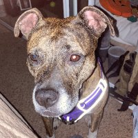 Kazu IV🇺🇦🇵🇸🇮🇷