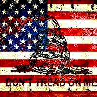 🇺🇸AMERICA FIRST🇺🇸