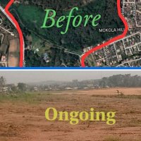 Save Ogunpa Forest Reserve