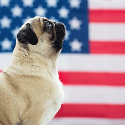 Miss Ruby 🇺🇸 #keep4o