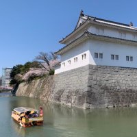 陽果里510🍵 静岡応援団