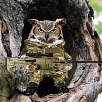 AnonimoRomano 🇪🇺🇺🇦🇬🇪🇮🇱🌍