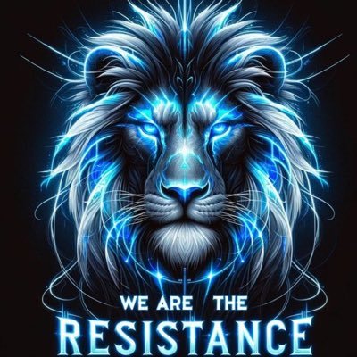 Debbie 🟦🟧✡️🇺🇸🇮🇱🪬🇺🇸🇺🇦🌻🦅