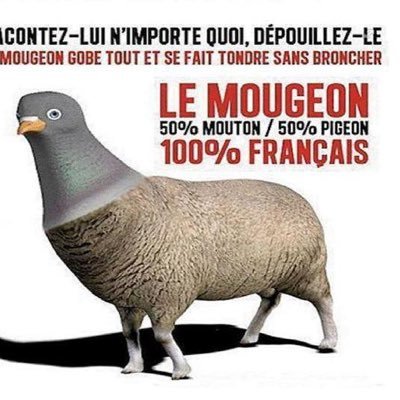 Libre, mais jusqu’à quand ? 🇫🇷