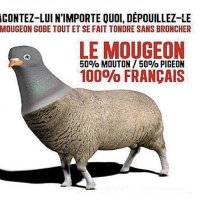 Libre, mais jusqu’à quand ? 🇫🇷