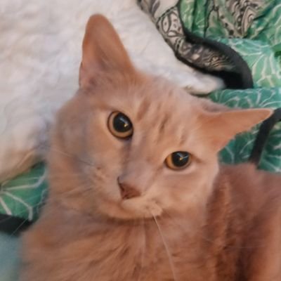 ⛈Are we tHere yet?🌞