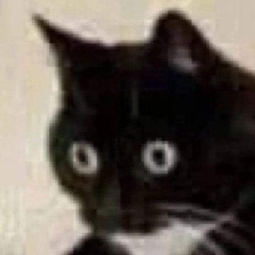 Felipe Humboldt 🦕