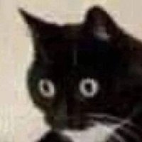 Felipe Humboldt 🦕