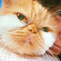 น้องเปียโน 🎀 🧁⏱️🧸