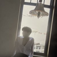 Beruang Kutub 🐶✈️