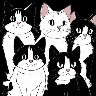 December Cats, jazz band