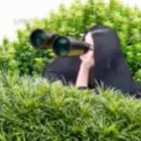 StallionFormerlyKnownAz