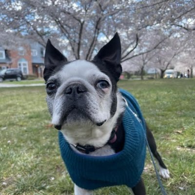 Janet Novack (@janetnovack.bsky.social)