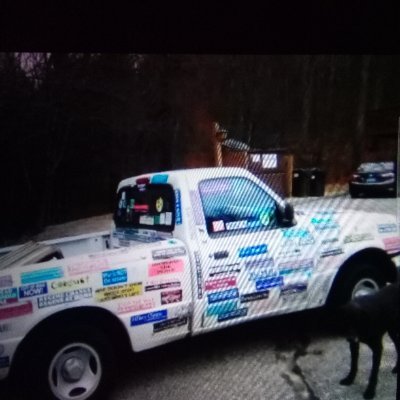 Laura Di Bella 💙💜🧡