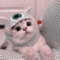 พีพีคุ้งง 🧁