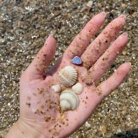 Rowaida Fatima 🇵🇰