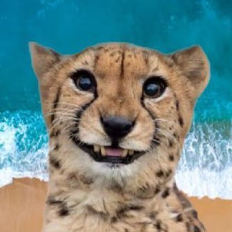 Ingenuous Firebrand 🐆🇺🇸