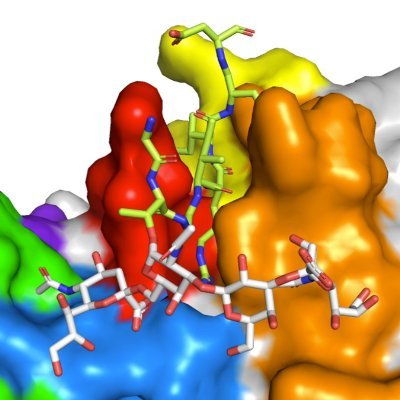 加藤幸成＠抗体創薬