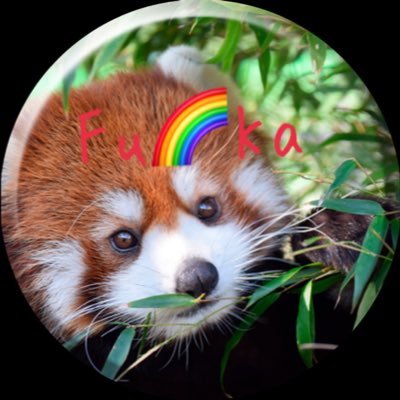 ﾟ*.·̩͙꒰ঌ☦︎︎໒꒱·̩͙.* ﾟFu🌈ka 666*.·̩͙꒰ঌ☦︎︎໒꒱·̩͙.* ﾟ