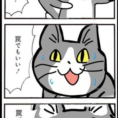 人生は気合と根性と眼鏡