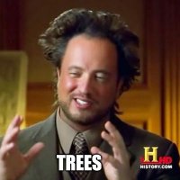 +MemeForTrees