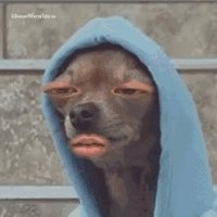 droga é o braia Ⓟ Ⓝ