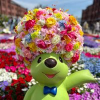 nao🍏イミュルル.🧑‍🚀👼🏻