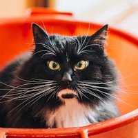 ネタもり管理人(旧ネタこもりブログ)