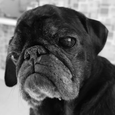 鬼 怒 川 晃®@2026年はほどほどに。