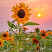 Azeemahmad76@gmail.com Azeemahmad76@gmail.com