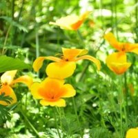 re-sta れいわオーナーズ