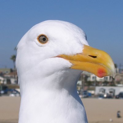 Lake Nipissing🇺🇸🇨🇦