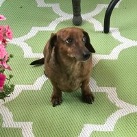 Janet Miller 🇨🇦