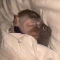 Mulher do fim do mundo