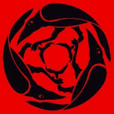 Raven-Skyy Storm ⚔️🛡🍀