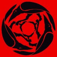 Raven-Skyy Storm ⚔️🛡🍀