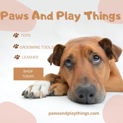 Paws And Play Things