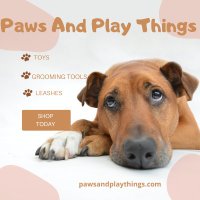 Paws And Play Things